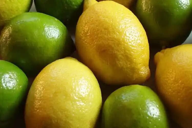 2 Kilo Limon Kaç Adet Olur? Ortalama Sayı ve Alışveriş İpuçları