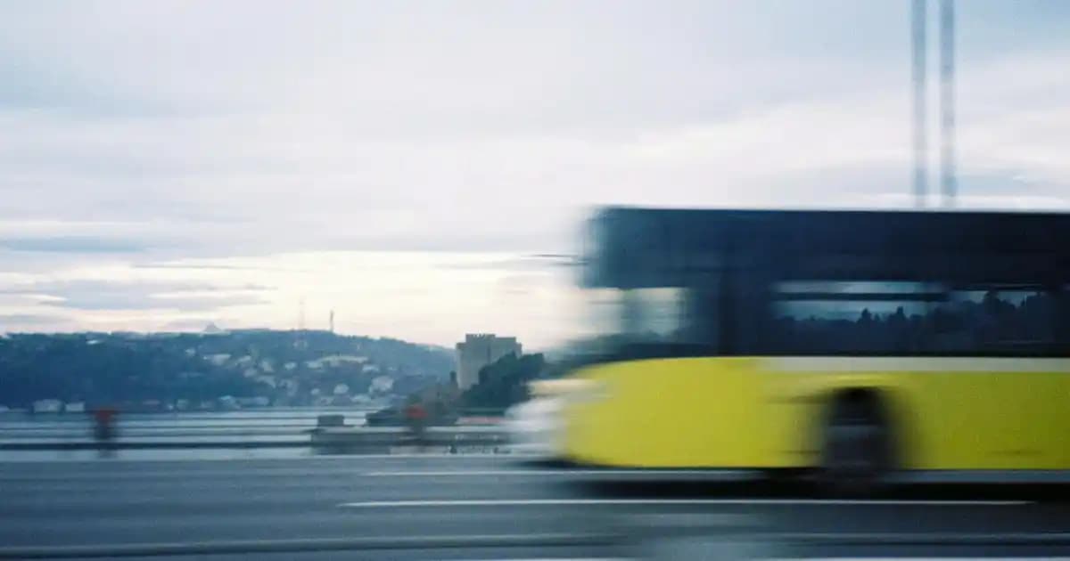 Balparmak, Apitera ve Bee'o Markalarıyla Arıcılık ve Bal Ürünleri Sektöründe Güncel Durum