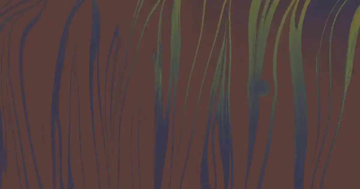 Türkiye’de Makarnanın Güncel Durumu ve Popüler Markalar Analizi