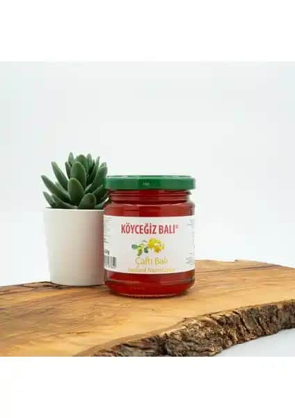 Köyceğiz Çaltı ve Hayıt Balı Karşılaştırması Bal Severler İçin Detaylı Analiz