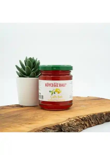 Köyceğiz Çaltı ve Sandal Balı Karşılaştırması: Doğal ve Sağlıklı Bal Seçenekleri