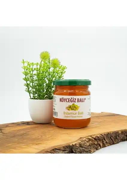 Köyceğiz Ihlamur ve Kekik Balı Karşılaştırması: Özellikleri ve Sağlık Yararları