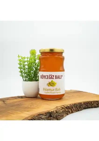 Köyceğiz Ihlamur ve Kestane Balı Karşılaştırması: Hangi Bal Sizin İçin Daha Uygun