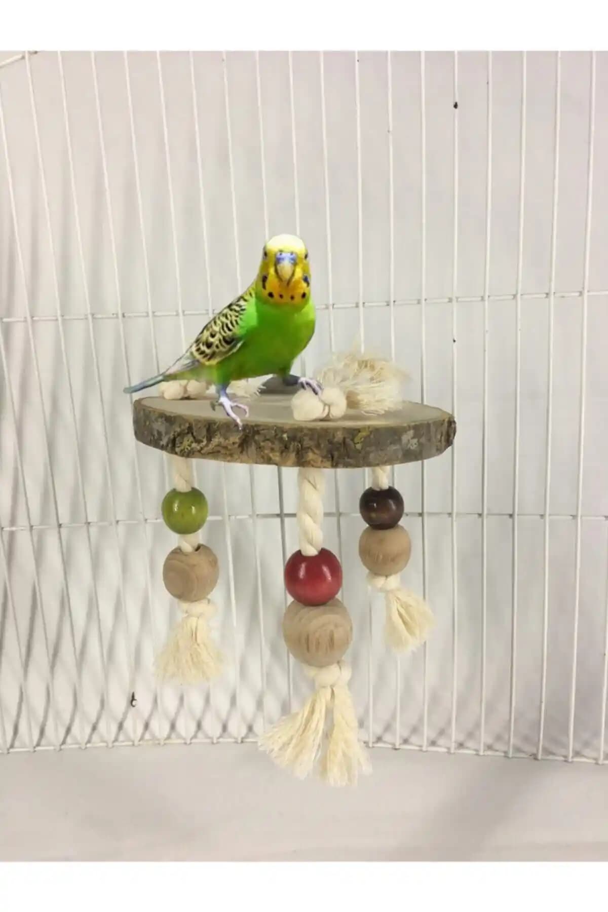 Amazon Bird Toplu Tünek: Kuşlar İçin Konfor ve Zihinsel Uyarım Sağlayan Doğal Tünek