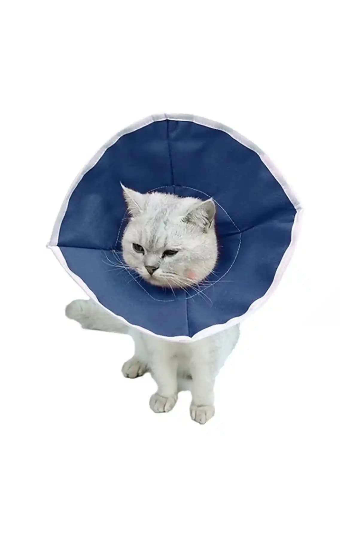 Anadolu-Vet Soft Kedi Yakalığı: Konfor ve Güvenliği Bir Arada Sunan Esnek Tasarım