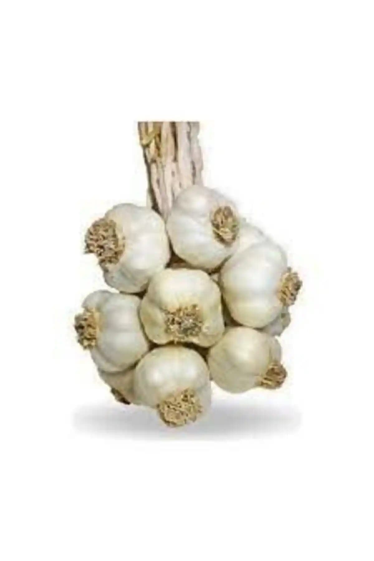 Kastamonu Taşköprü Sarımsağı 2025 Yeni Hasat 1 Kg - Doğal ve Taze Lezzet