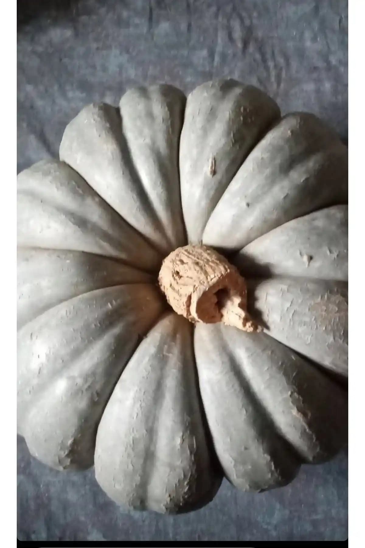 KURMEYSAN Dilimli Bal Kabağı 1 kg – Vakumlu Paket, Türkiye Menşei ve Doğal Kolay Kullanım