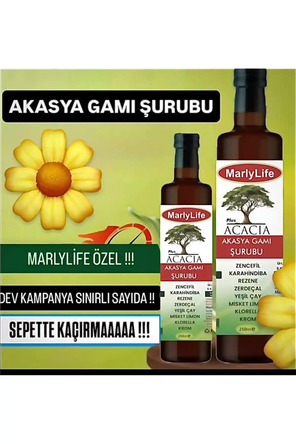 MARLYLİFE Acacia Akasya Gami Şurubu: Doğal Bitkisel Destek ile Sindirim ve Enerji Dengesi