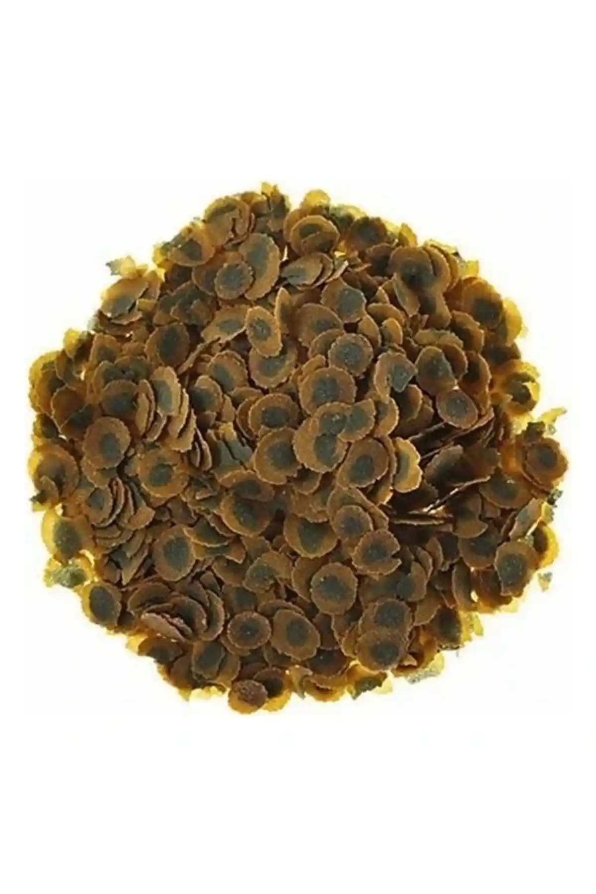 Tetra Pro Algae 250 Gram Bitkisel Balık Yemi İnceleme ve Kullanım Rehberi ve İpuçları