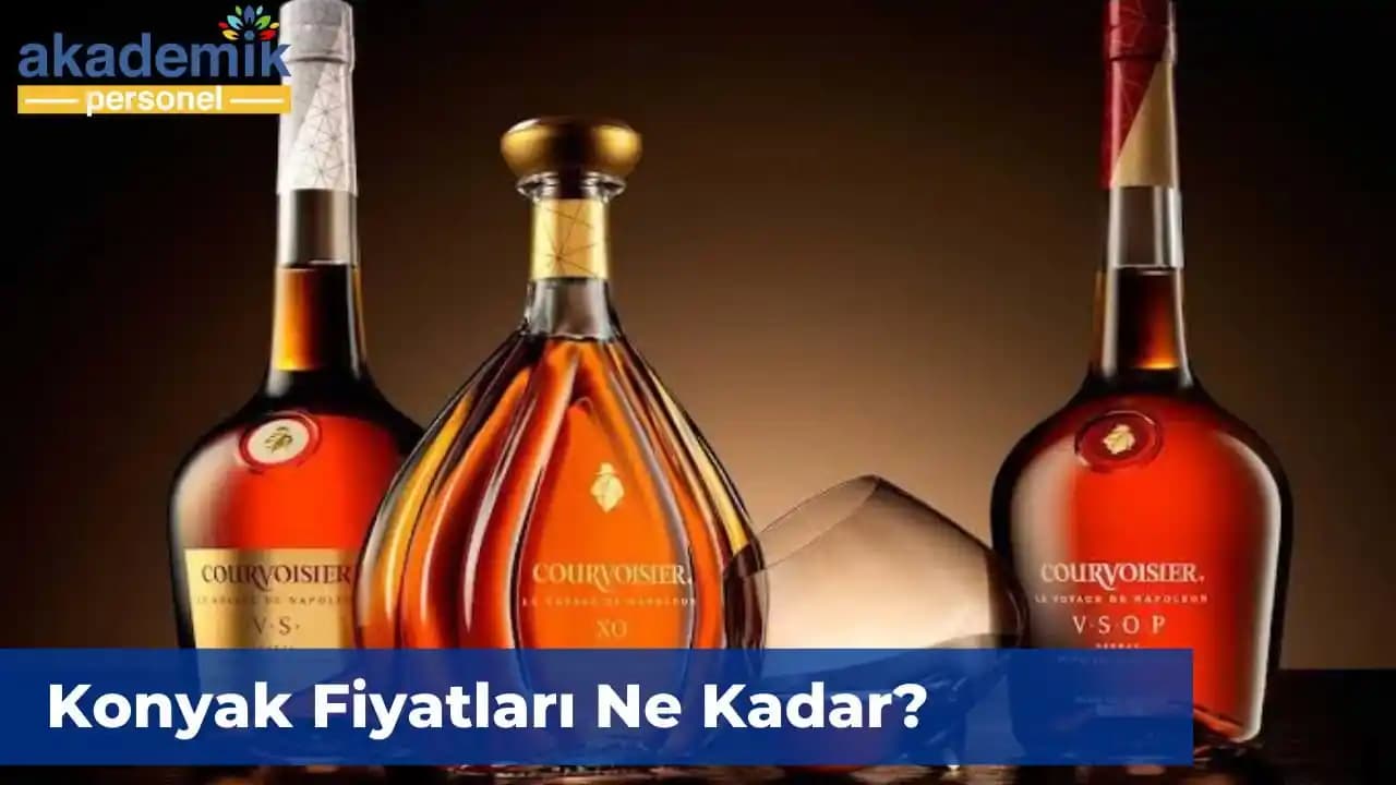 2024 Yılında Konyak Fiyatları ve Piyasa Trendleri Analizi