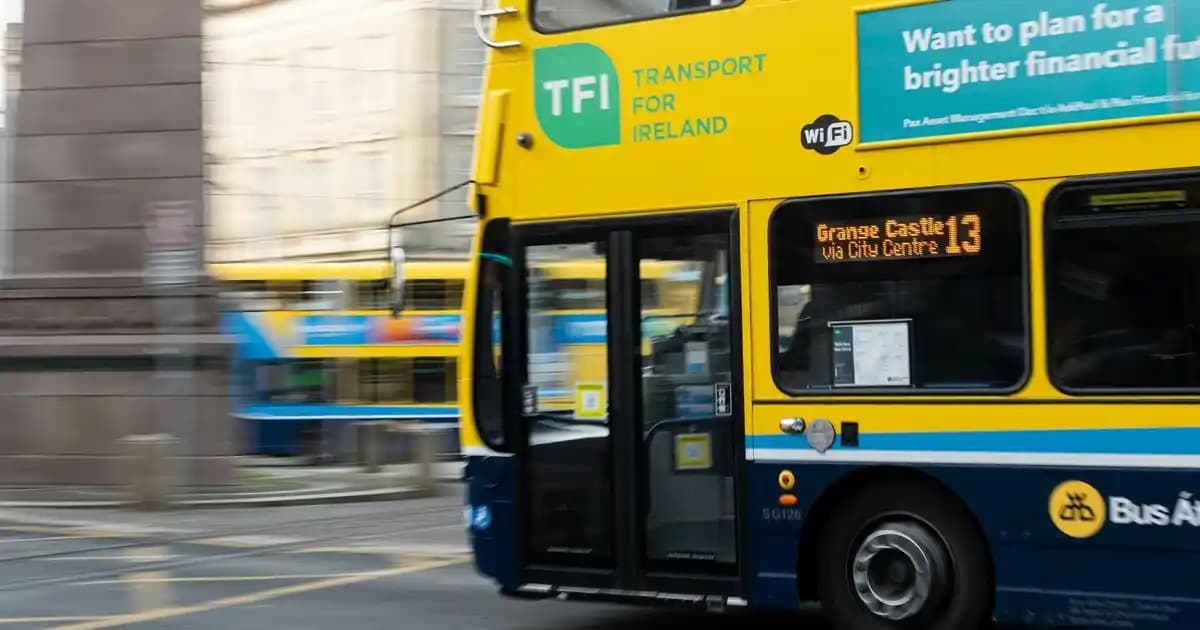 5 litrelik fıçı bira kullanımı, seçim ve saklama ipuçlarıyla pratik ve ekonomik çözümler