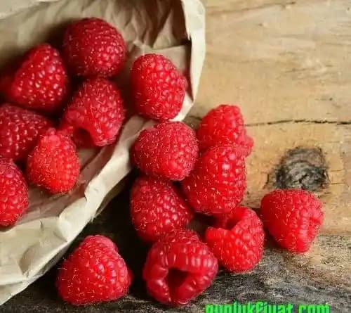 A101 Dondurulmuş Frambuaz Ürün Kalitesi ve Güvenilirlik İpuçları