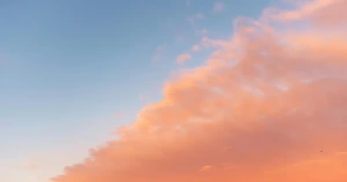 A101 Marketleri Güvenlik, Ürün Çeşitliliği ve Tüketici Güvenliği Üzerine Değerlendirme