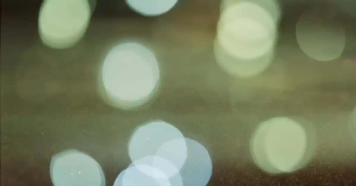 ABD’de Sağdan Direksiyonlu Araç Kullanımı ve 25 Yıllık İthalat Kuralları Hakkında Bilgi