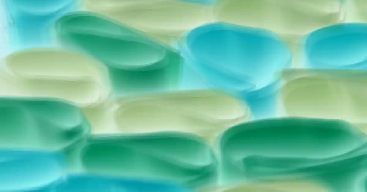 Adestor Etiketleri: Günlük Hayatta ve Perakende Sektöründe Kullanımın Temel Avantajları ve Teknik Özellikleri