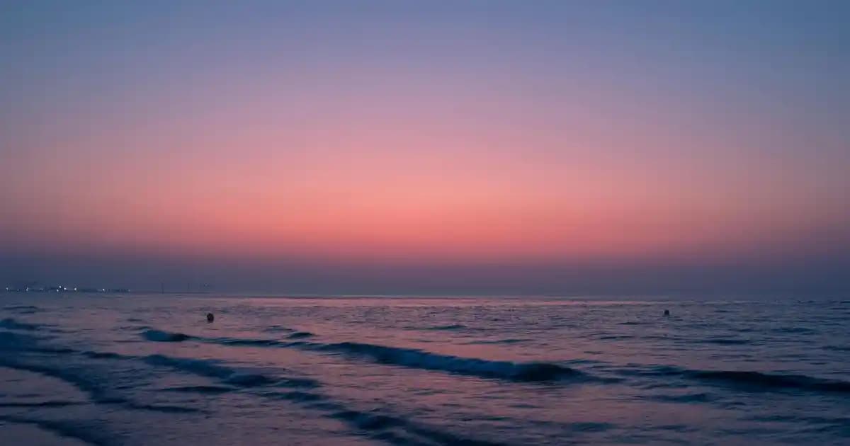 Afrodizyak Etkili Masaj Yağları: Doğal İçeriklerle Duygusal ve Fiziksel Uyarı