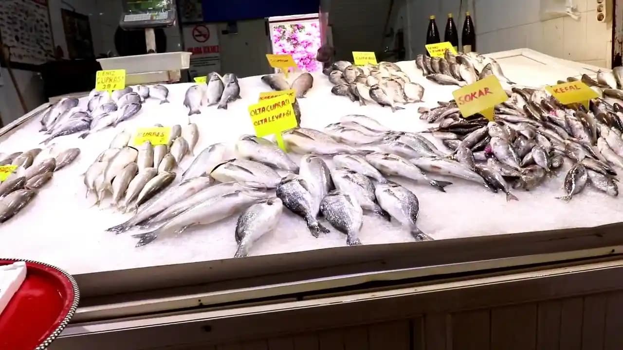 Antalya Balık Hali: Taze Deniz Ürünleri ve Tedarik Zincirinin Merkezi Noktası