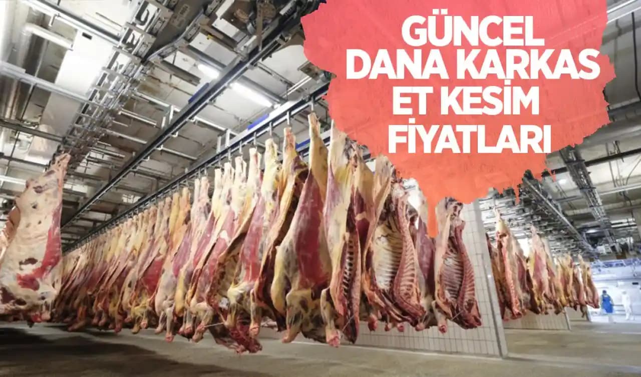 Antalya'da Dana Karkas Et Fiyatları ve Piyasa Dinamikleri Analizi