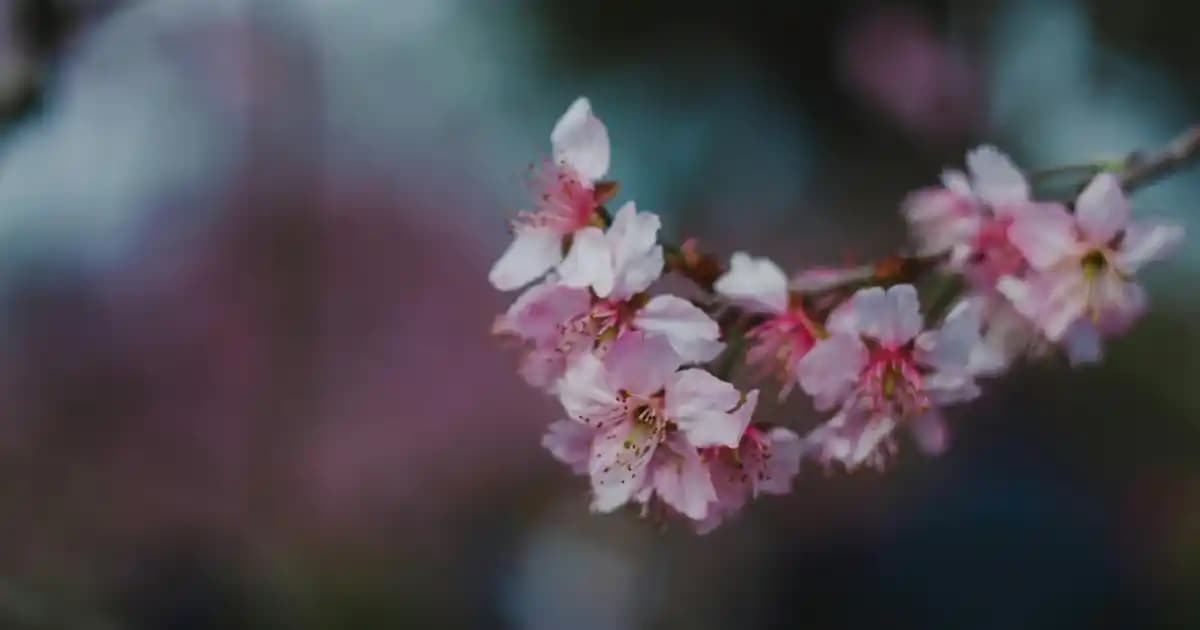 Bebek Yara Çubuğu: Güvenli ve Hassas Ciltler İçin Pratik Çözüm