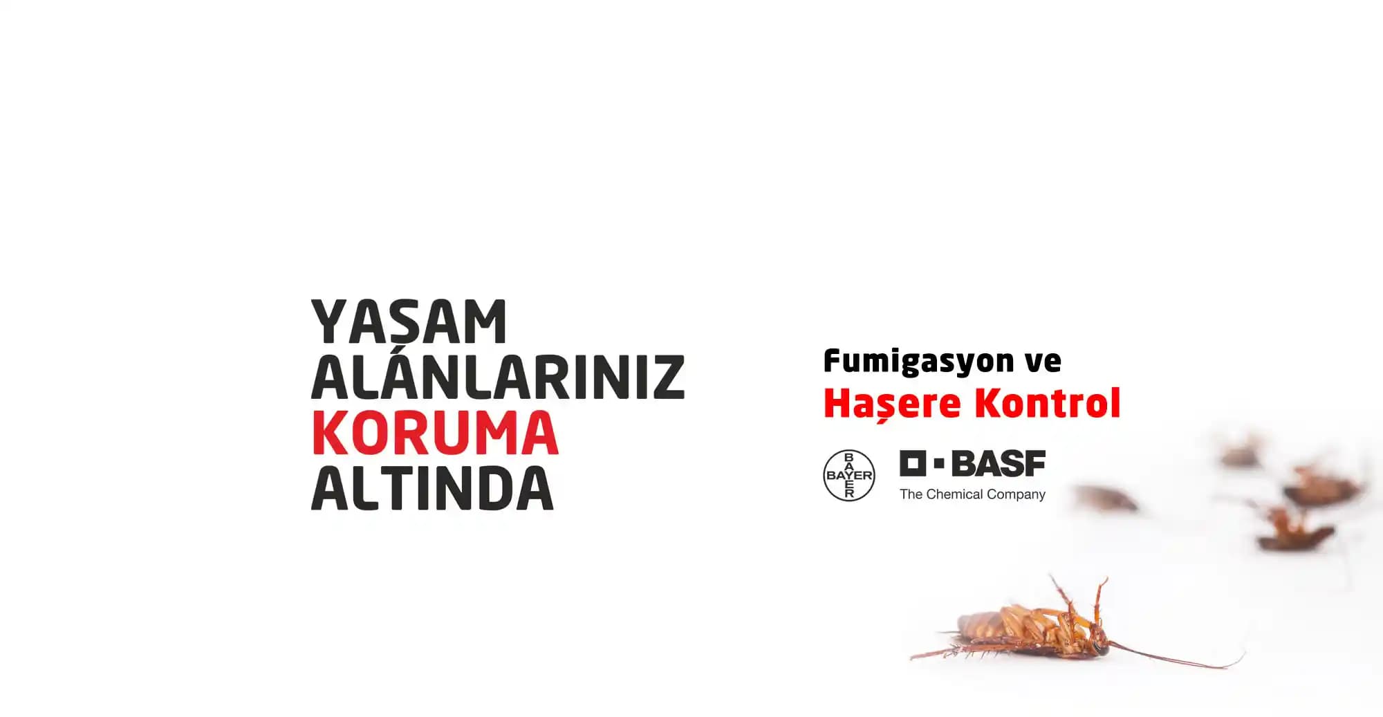 Bifen ile Haşere Kontrolü: Güvenli Kullanım ve Etkili Sonuçlar İçin İpuçları