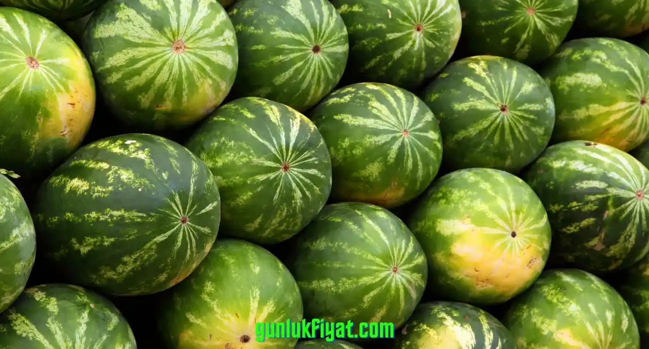 Bim Marketlerde Karpuz Seçimi ve Tüketim Rehberi Yaz Aylarında Tazelik ve Fiyat Avantajı
