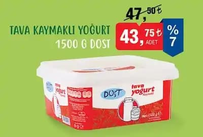 Bimde Tava Yoğurdu Fiyatları ve Piyasa Durumu Hakkında Güncel Bilgiler