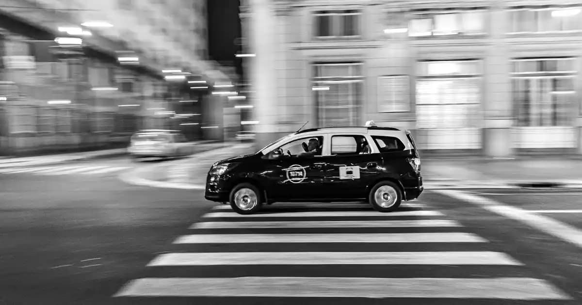 Bitkisel Leke Çıkarıcılar: Doğal ve Güvenli Temizlik Seçenekleri Hakkında Bilgiler ve Kullanım İpuçları