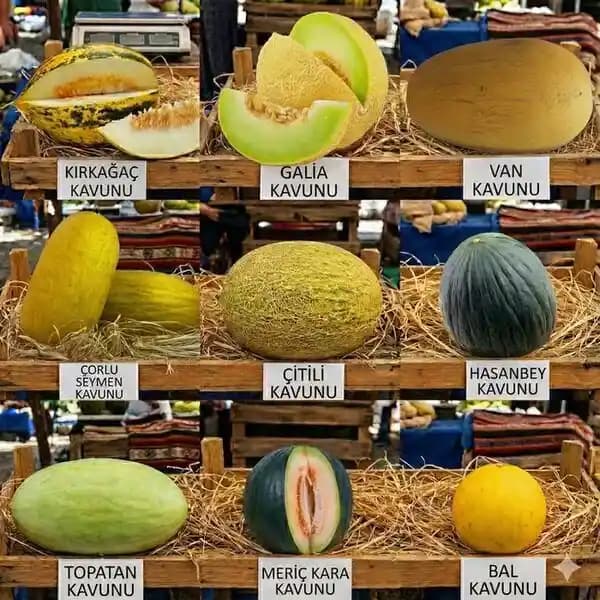 Çanakkale Kavun Çeşitleri ve Özellikleri: Tat, Aroma ve Kullanım Alanları