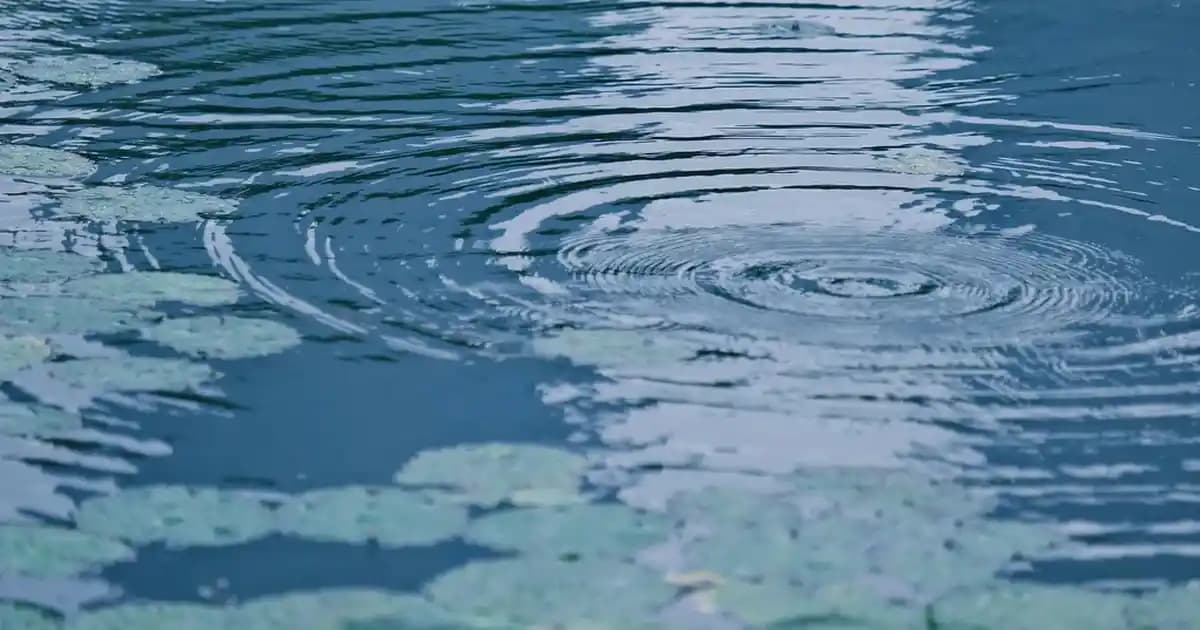 Carrefour Altus Çamaşır Makinesi Özellikleri ve Kullanım İpuçlarıyla Uygun Seçenekler
