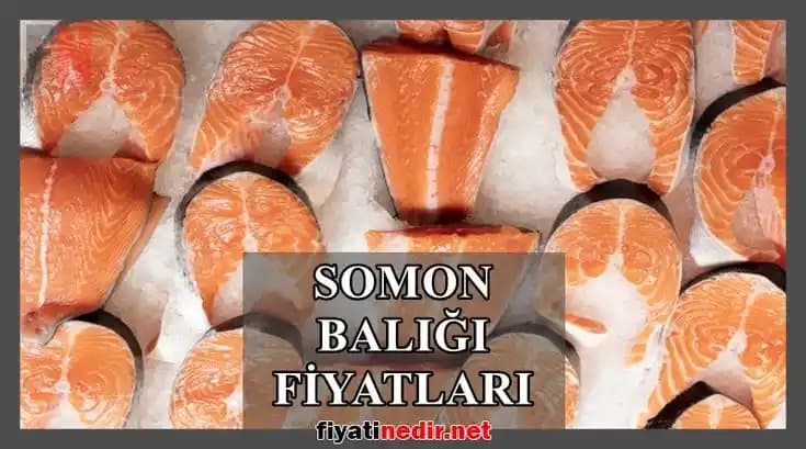 Carrefour'da Satılan Somon Balığının Özellikleri ve Sağlık Açısından Önemi