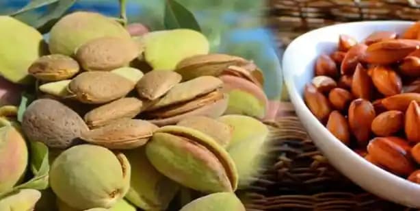 Damar Açıcı Besinler ve Kan Dolaşımını Destekleyen Doğal Seçenekler