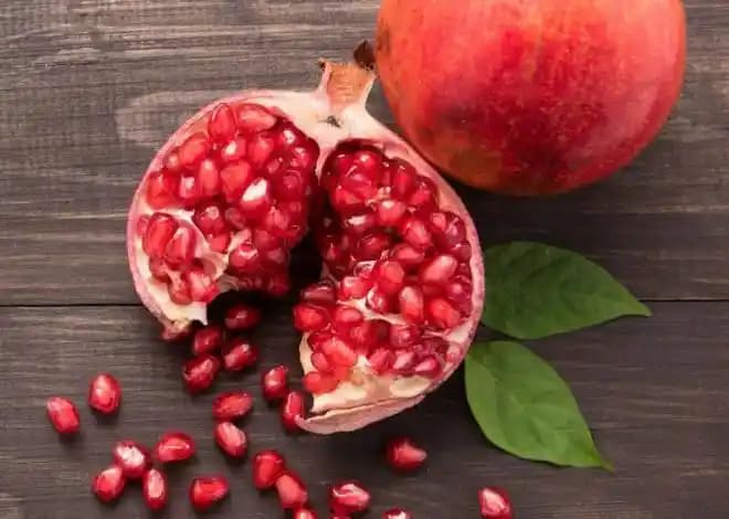 Damar Sağlığını Destekleyen Besinler ve Sağlıklı Yaşam İçin Tavsiyeler