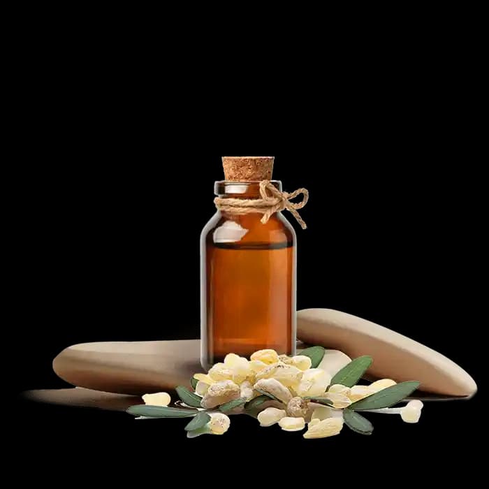 Damla Sakızı Esansı: Geleneksel Tatların Modern Mutfakta Kullanımı ve Özellikleri