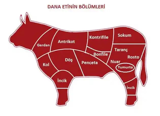 Dana Boyun Eti: Özellikleri, Kullanım Alanları ve Pişirme Tavsiyeleri