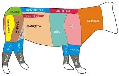 Dana'nın Güç Aktarım Sistemleri ve Elektrikli Tahrik Çözümlerine Kapsamlı Bakış