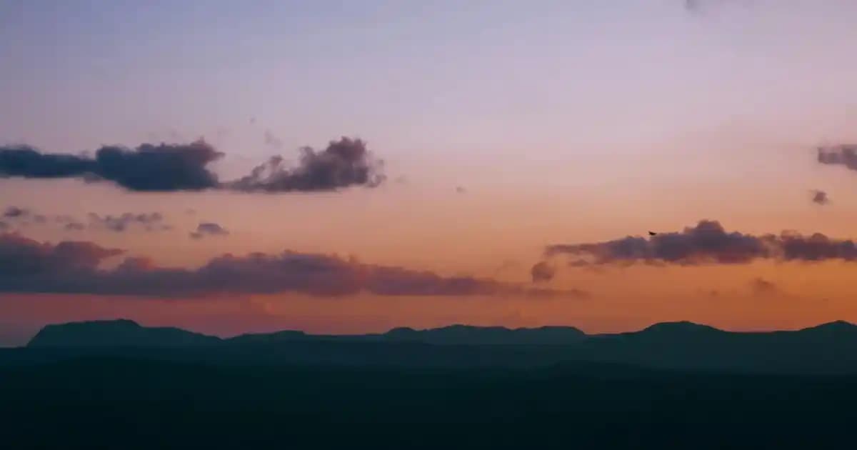 Dana Pirzola ve Protein İçeriği Sağlıklı Beslenmede Önemli Bir Kaynaktır