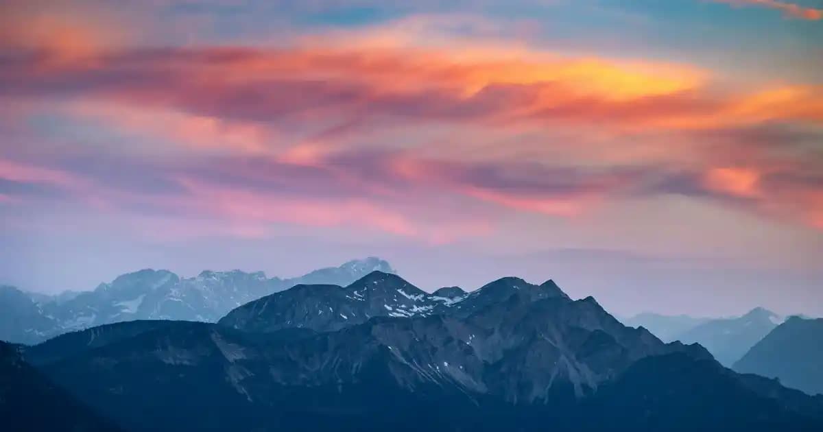 Dardanel Ton Balığı: Sağlıklı ve Güvenilir Market Tercihi Konserve Balık Ürünü