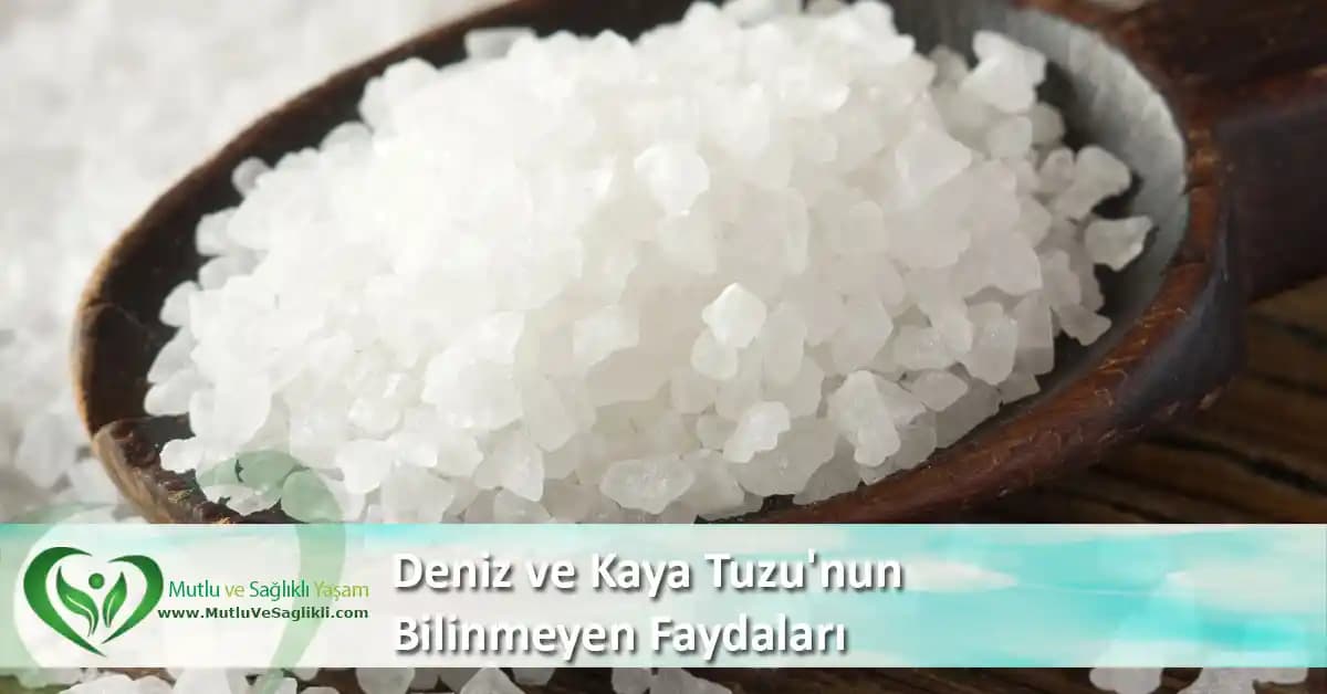 Deniz Tuzu ve Kaya Tuzu: Farkları, Kullanım Alanları ve Sağlık Çevre Etkileri