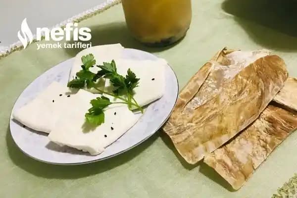 Doğal Peynir Mayası: Geleneksel ve Sağlıklı Peynir Üretiminde Temel Rolü