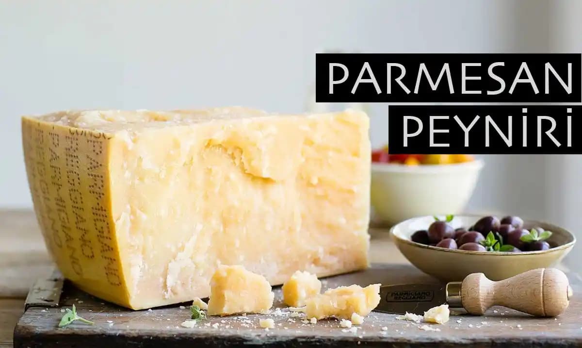 En İyi Parmesan Peyniri Markaları ve Kalite Kriterleri Üzerine Detaylı Analiz