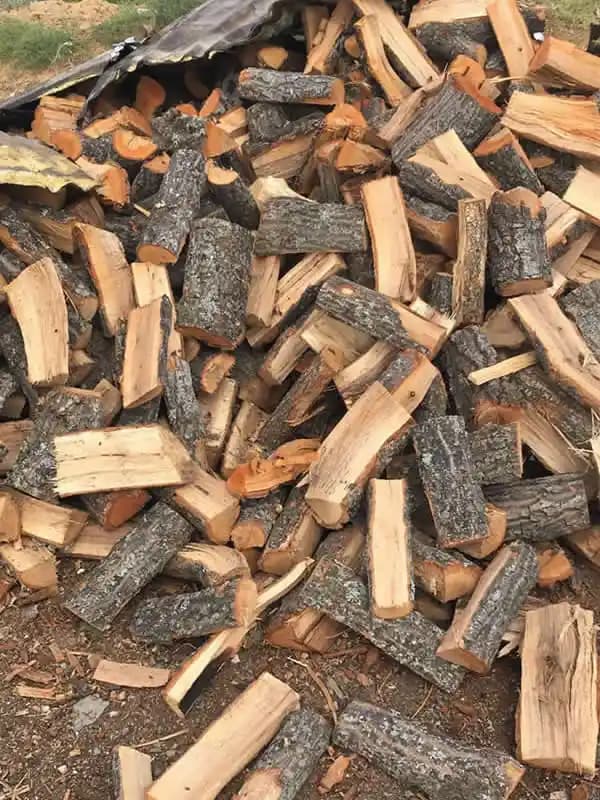 Eskişehir’de Meşe Odunu: Kullanım Alanları ve Özellikleri Hakkında Detaylı Bilgi