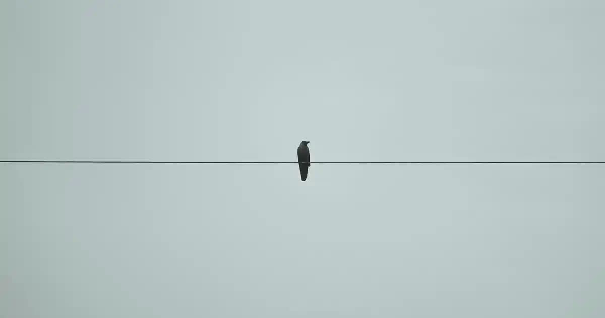 Eti Tutku Ürünlerinin Kalori İçeriği ve Sağlık Üzerindeki Etkileri Analizi