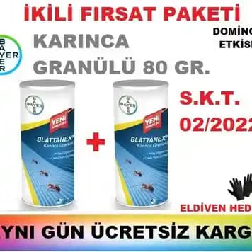 Evde Karınca Mücadelesi ve Etkili Yok Etme Yöntemleri Hakkında Kapsamlı Rehber