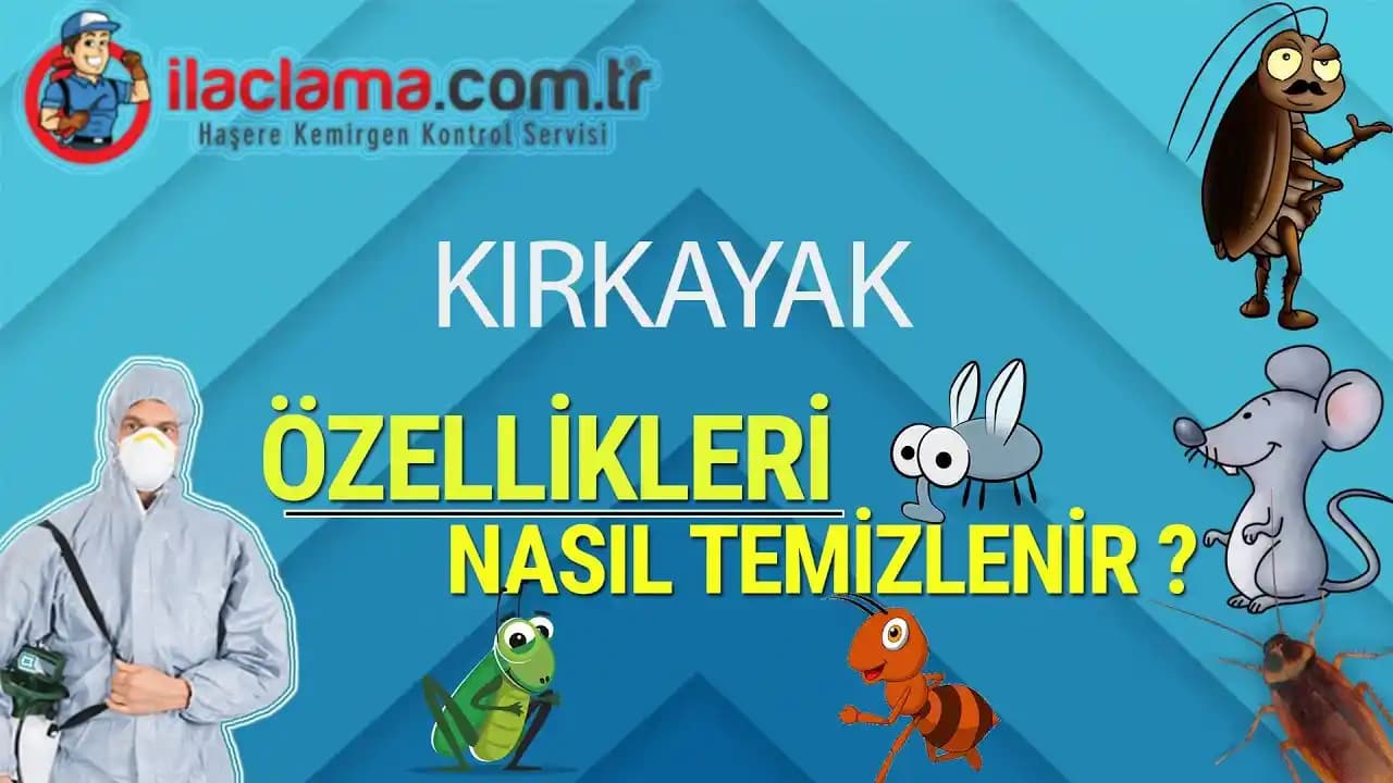 Evde Kırkayak İlacı Kullanımı Güvenlik ve Etkinlik Rehberi