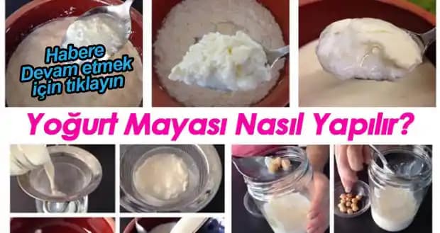 Evde Yoğurt Mayası Nasıl Yapılır: Adım Adım Doğal ve Sağlıklı Tarifler