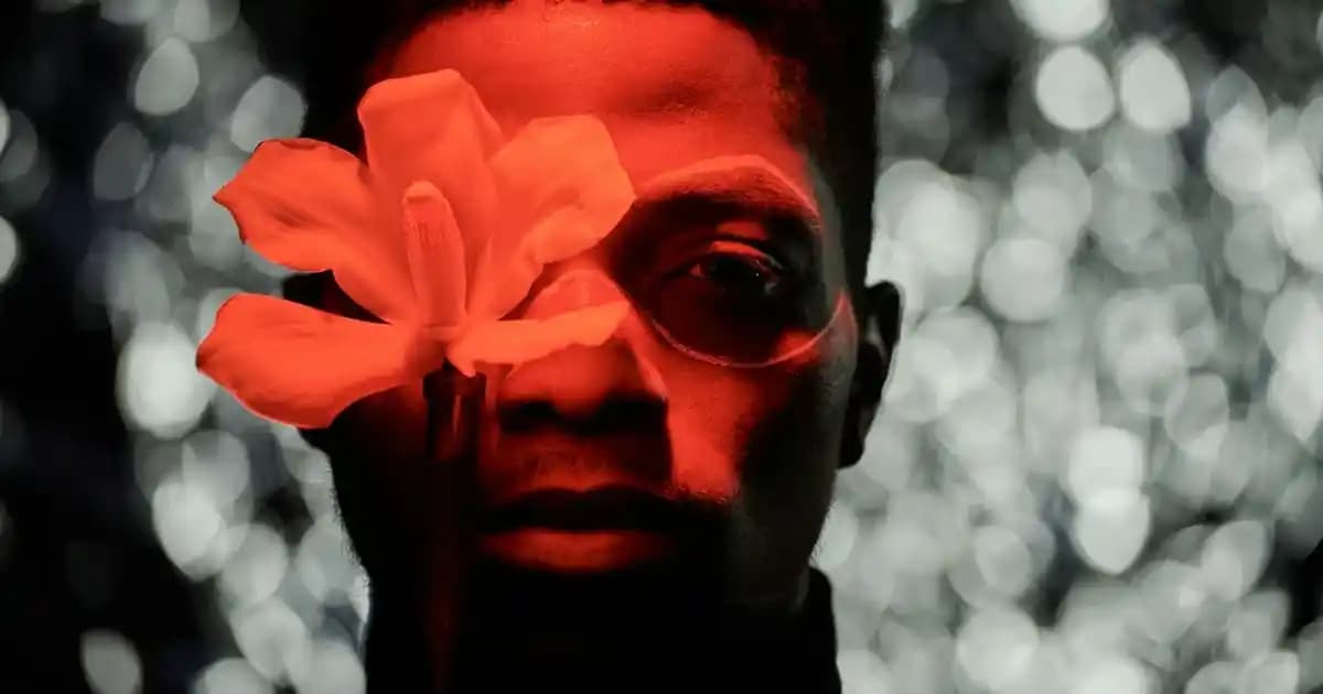 Fairy Platinum ve Platinum Plus Temizlik Ürünleri Karşılaştırması ve Kullanım Avantajları