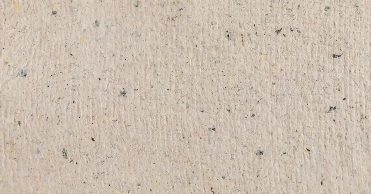 Gemlik Zeytini ve Yağ Oranı: Kalite ve Kullanım Alanları Üzerine Detaylı Bilgi