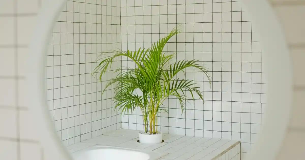 Gerçek Bitter Çikolata Markaları ve Özellikleri Hakkında Kapsamlı Bilgi