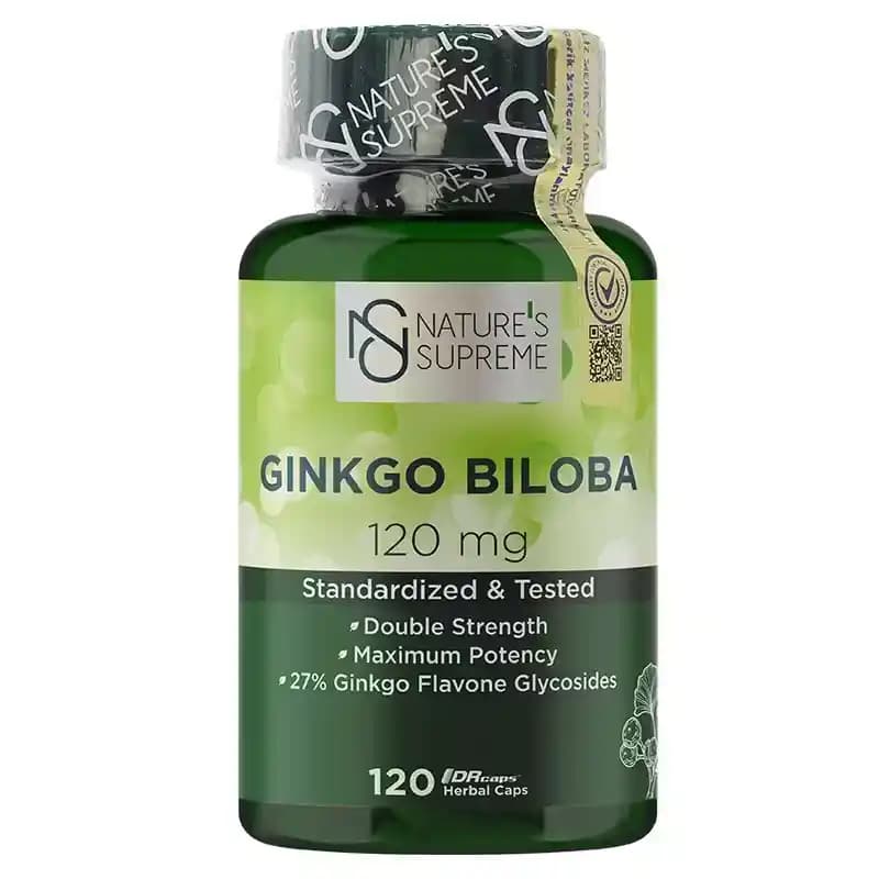 Ginkgo Biloba ve Sağlık Üzerindeki Etkileri: Güncel Bilimsel Bulgular ve Kullanım Alanları
