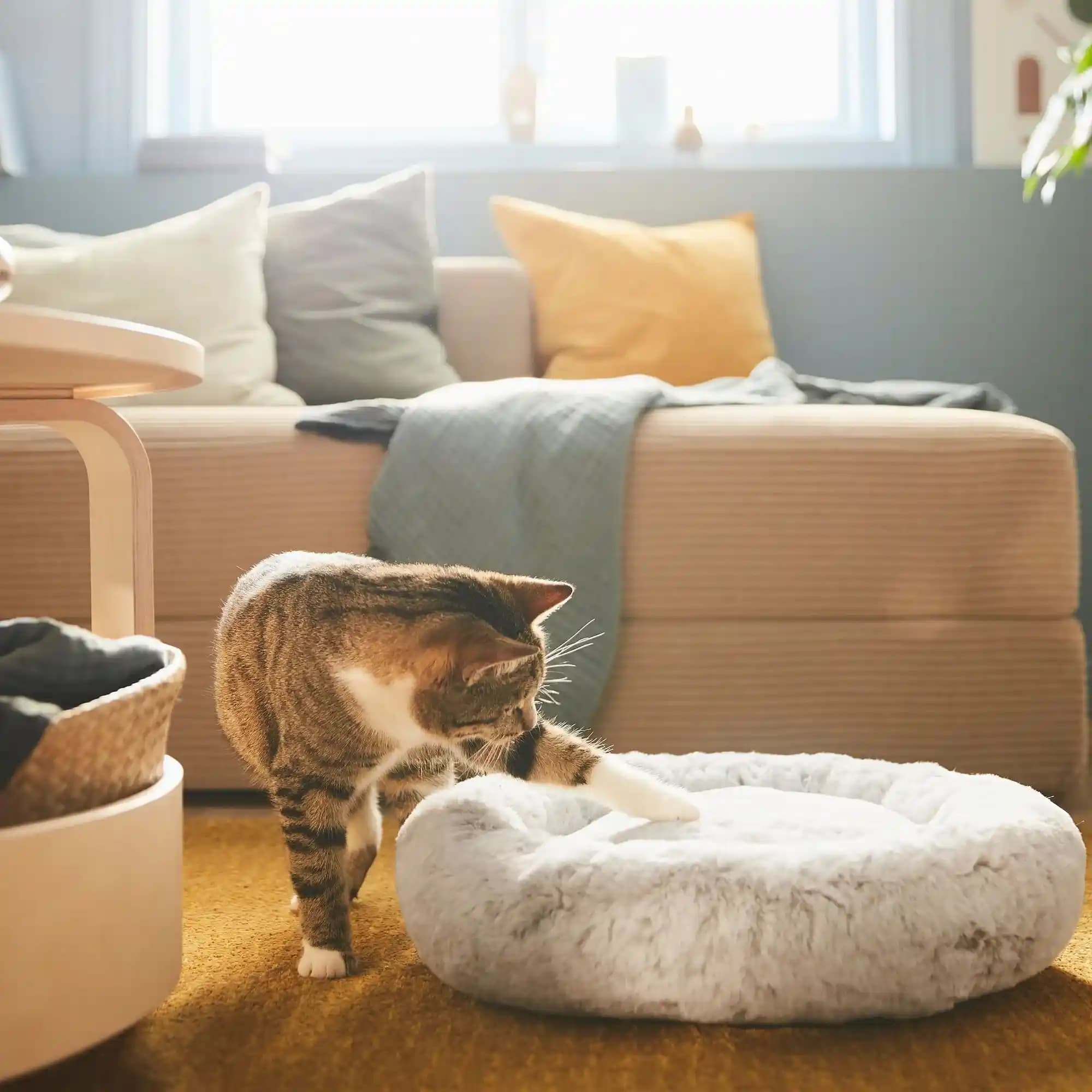 IKEA'nın Evcil Hayvan Ürünleri Gelişimi ve Piyasa Trendlerine Genel Bakış